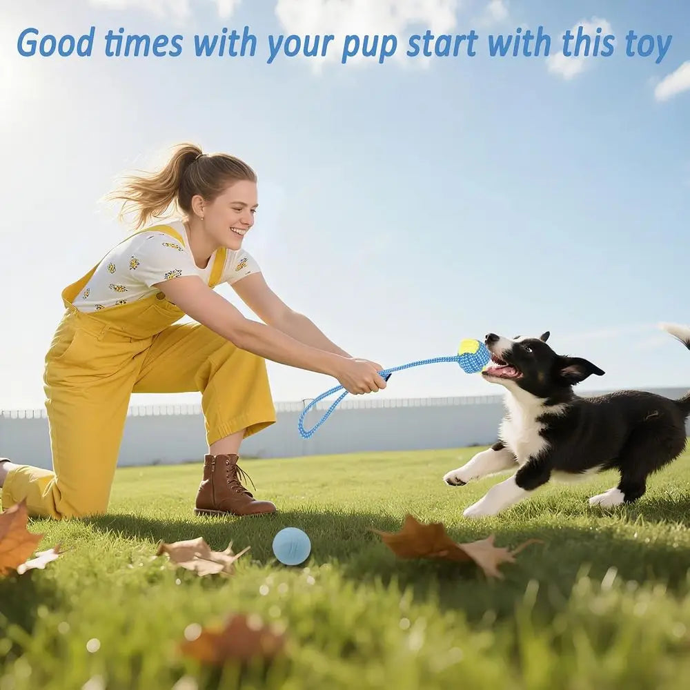 20 Pack Puppy Chew Toys Bundle For Teething Puppies