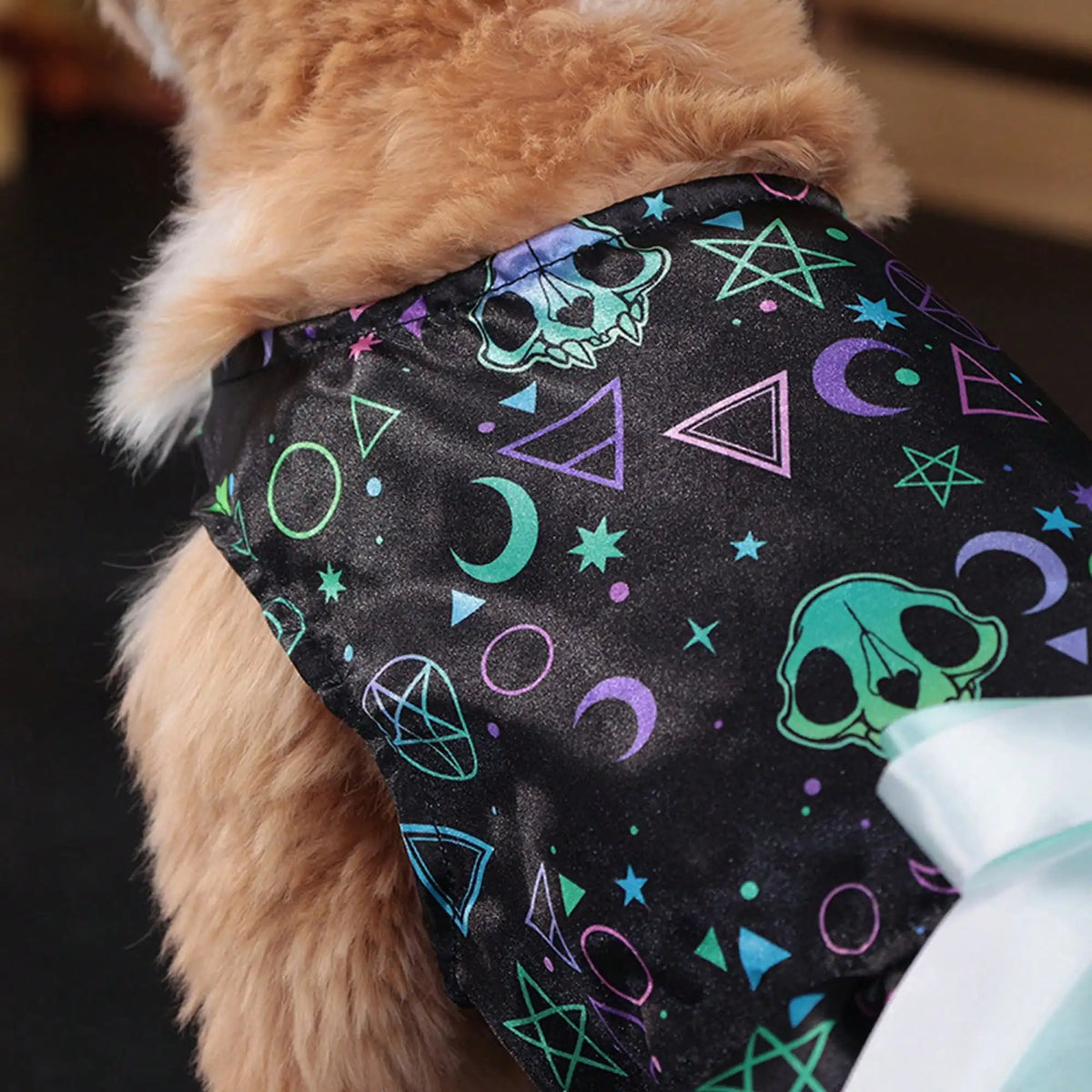 Soft Pumpkin Skull Print Bowknot Dog Halloween Costume