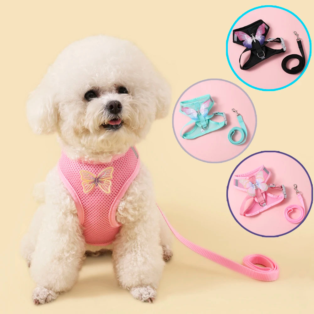 Breathable Cat Harness Set Butterfly Design With Leash