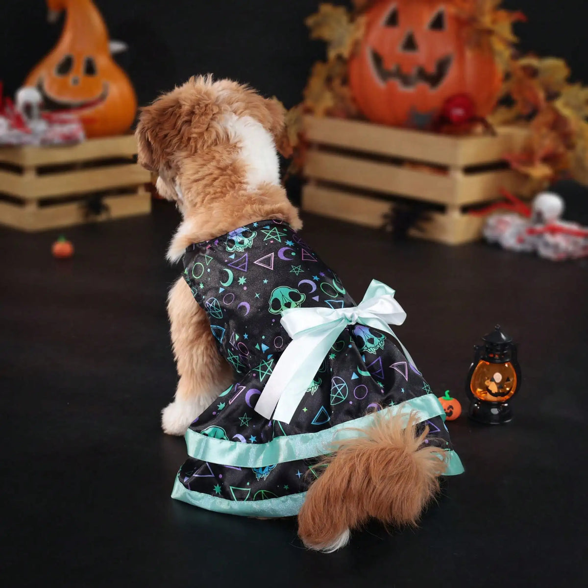 Soft Pumpkin Skull Print Bowknot Dog Halloween Costume
