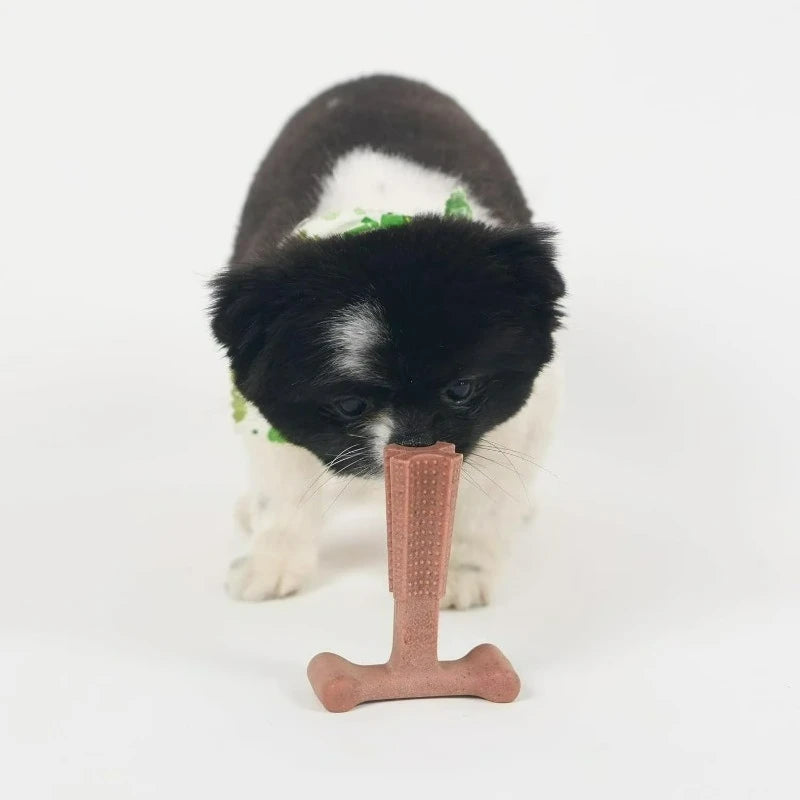 T Bone Dog Chew Toy for Moderate to Aggressive Chewers