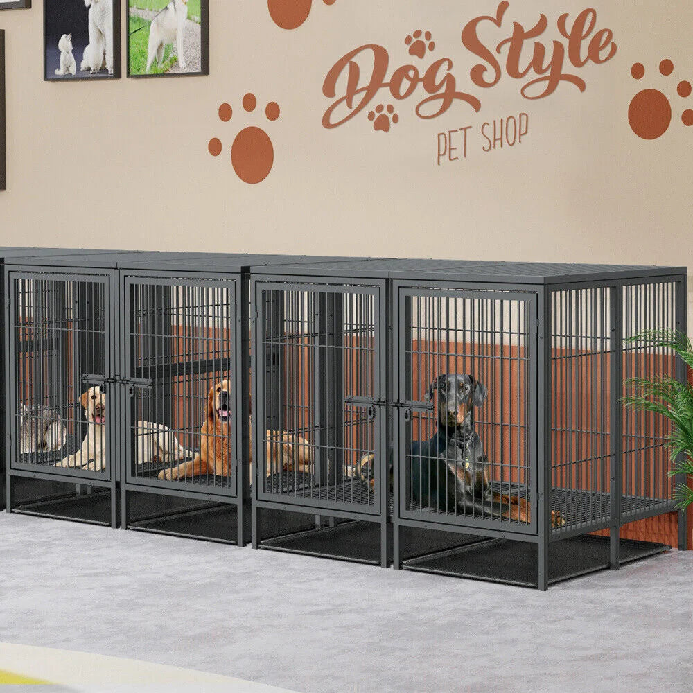 BORWART Heavy Duty Two Dog Crate With Removable Divider Panel