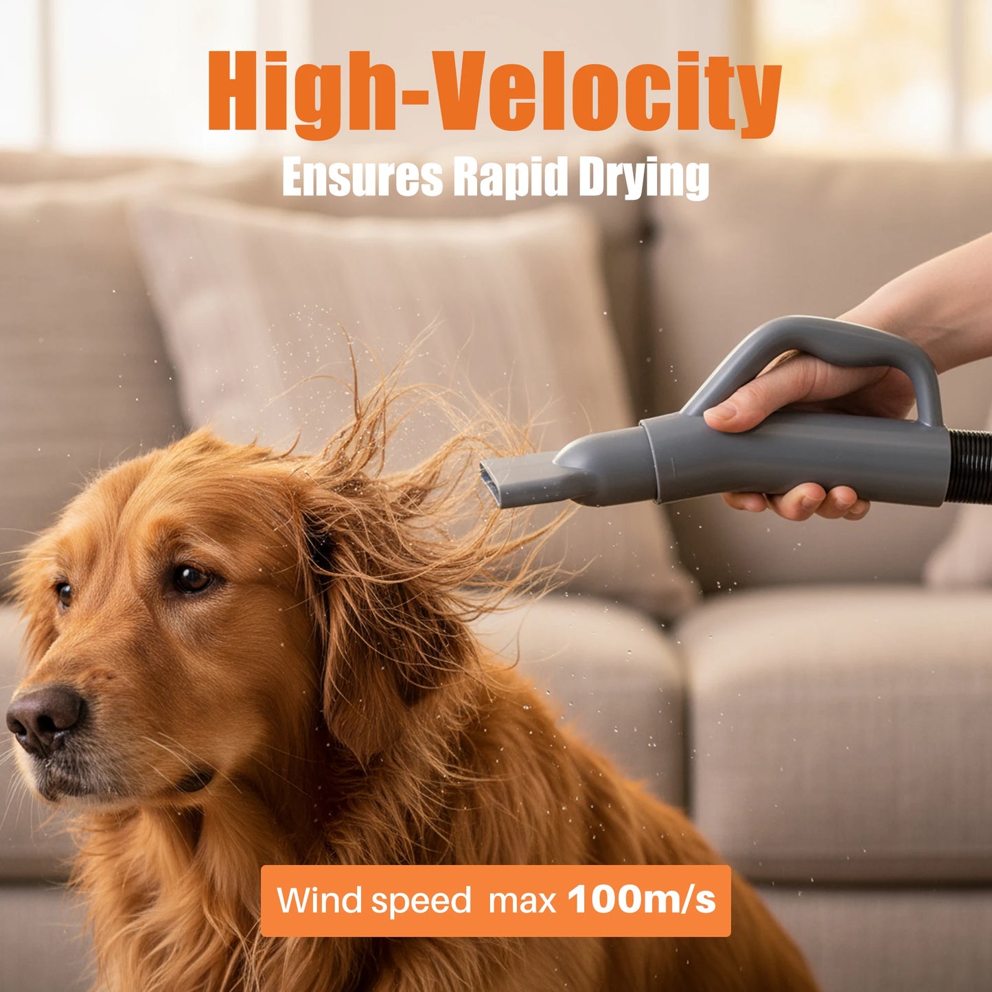 Low Noise Dog Grooming Vacuum Dryer With Adjustable Nozzles