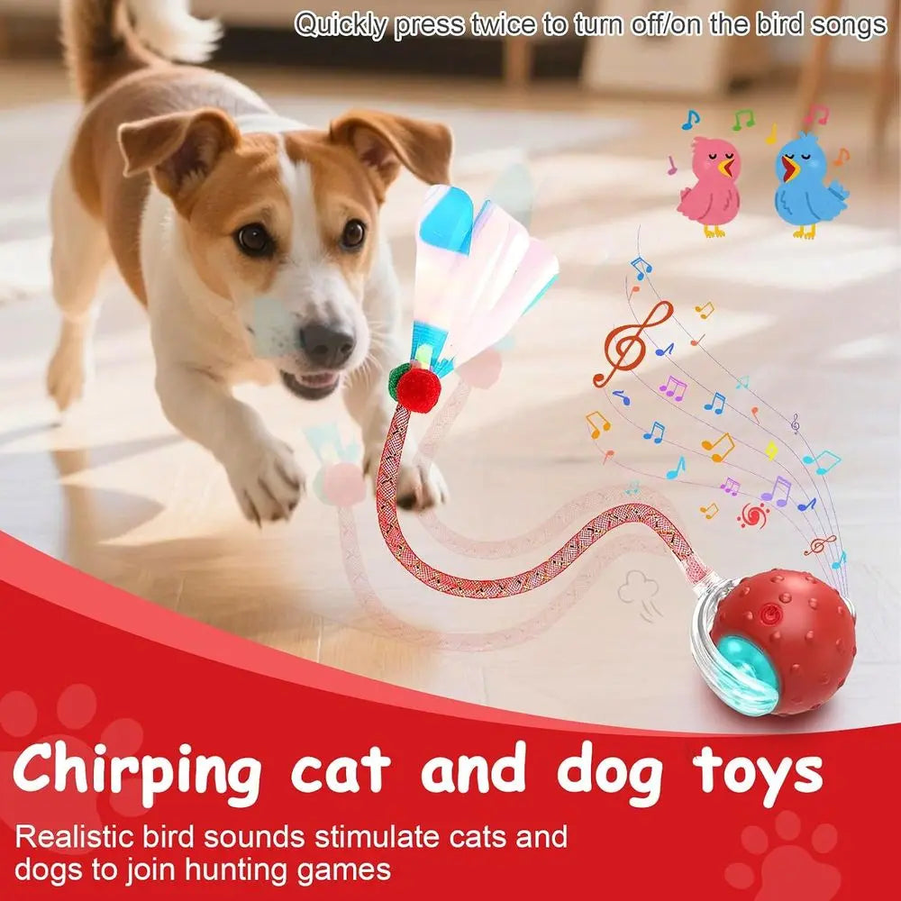 Interactive Cat Toy Ball With Auto Rolling And Bird Sounds