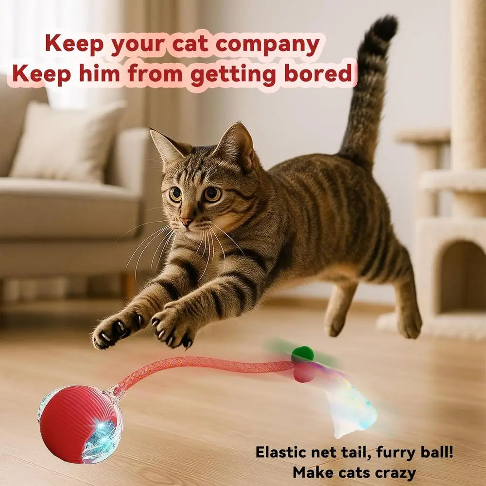 Automatic Interactive Cat Toy With Elastic Mesh Tail And Ball