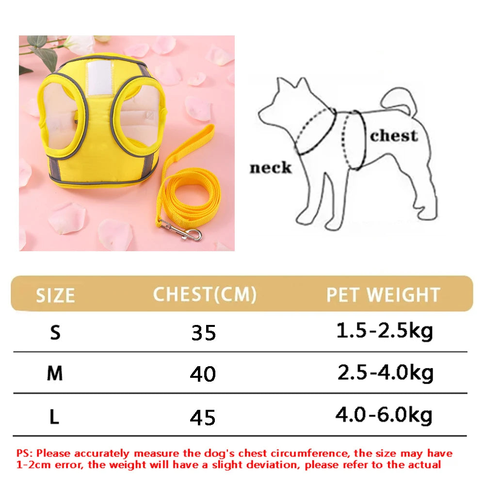 Breathable Cat Harness Set Butterfly Design With Leash