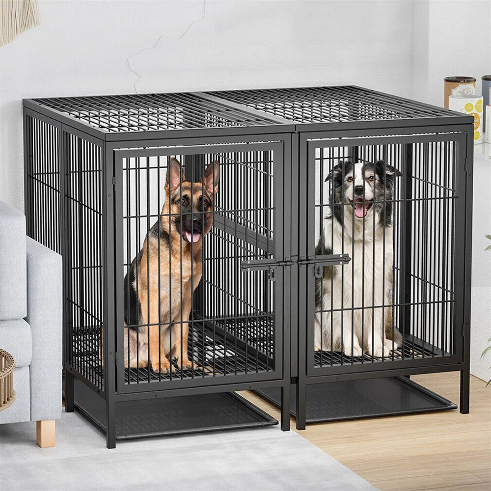 BORWART Heavy Duty Two Dog Crate With Removable Divider Panel