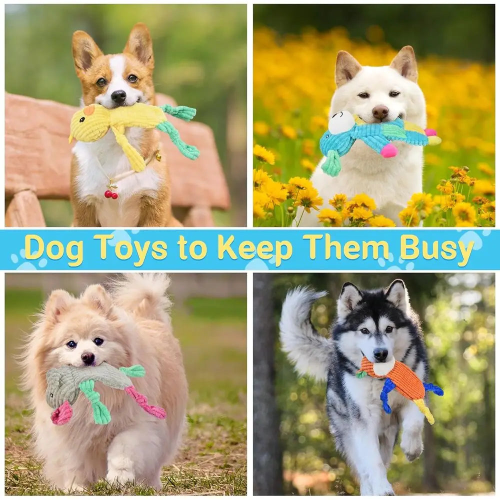 Five Piece Dog Toy Bundle With Assorted Animal Shapes