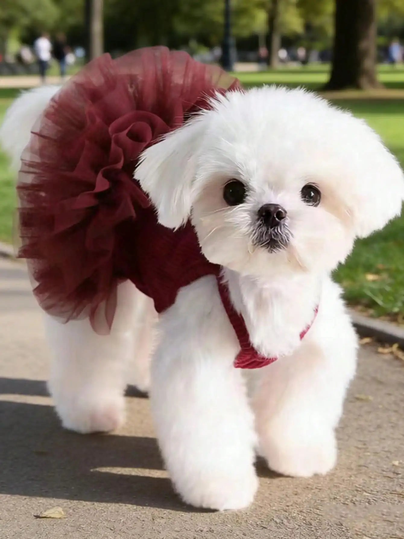 Elegant Sleeveless Ballet Tulle Princess Pet Outfit For Dogs