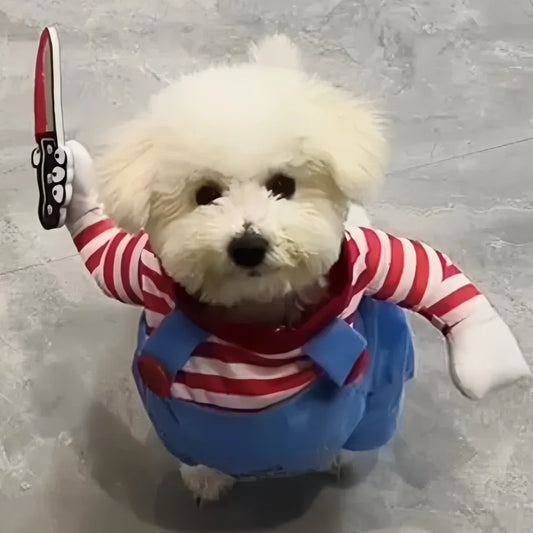 Halloween Dog And Cat Costume Pullover Cosplay Outfit