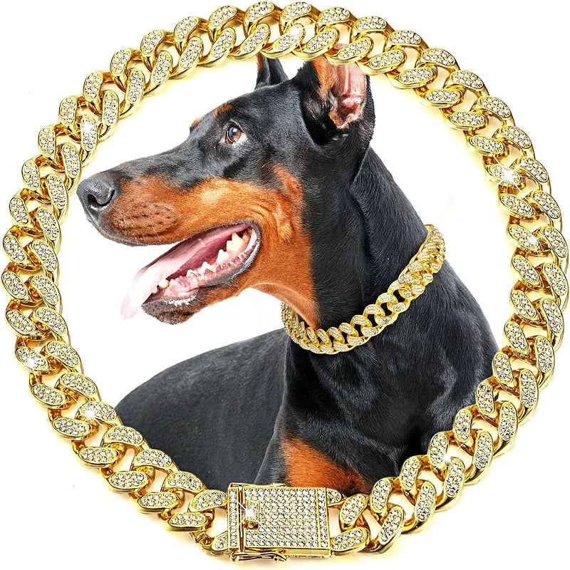 Stainless Steel Chain Collar For Dogs And Cats Premium
