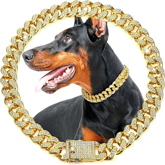 Stainless Steel Chain Collar For Dogs And Cats Premium