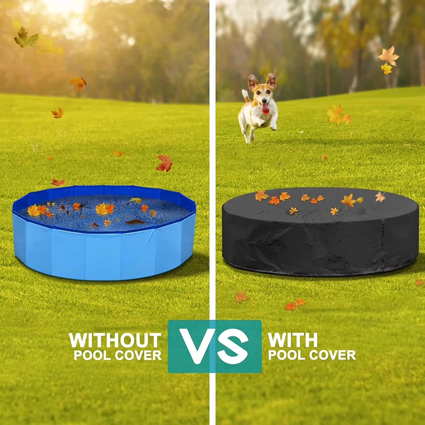 Portable Dog Pool Bath Tub for Large Dogs Scratch Resistant