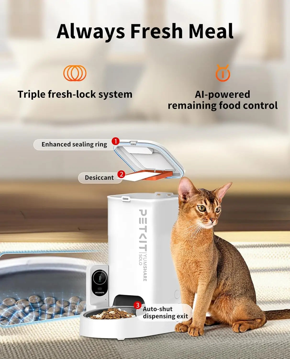 Automatic Cat Feeder With Camera 1080P HD Night Vision