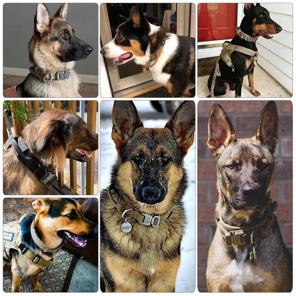 Nylon Adjustable Tactical Dog Training Collar And Leash Set