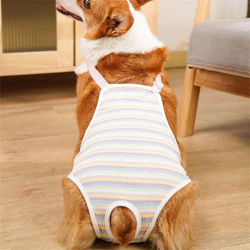 Adjustable Dog Underwear With Shoulder Strap For French Bulldog Pug Schnauzer