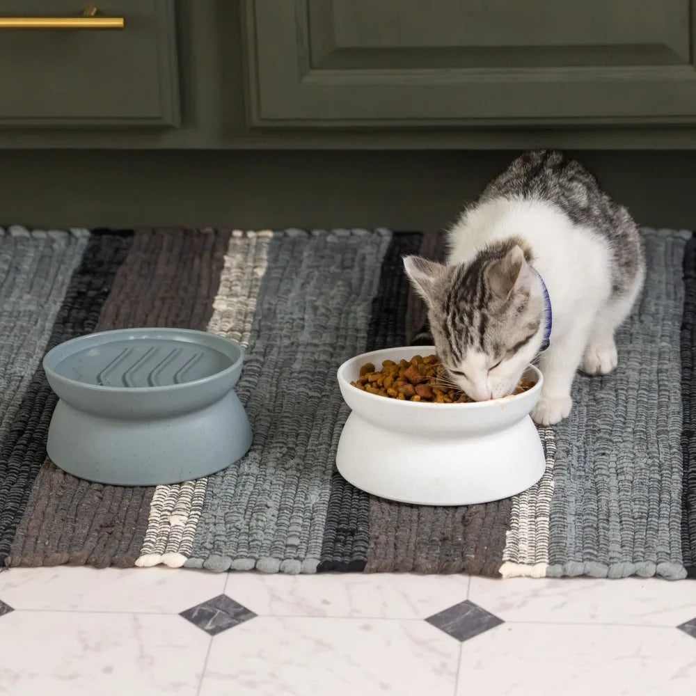 Elevated Cat Bowls For Small Cats Slow Feeder Whisker Relief
