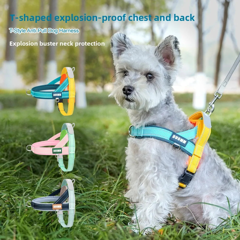 Dog Harness Leash Set For Pets Outdoor Adjustable Comfort