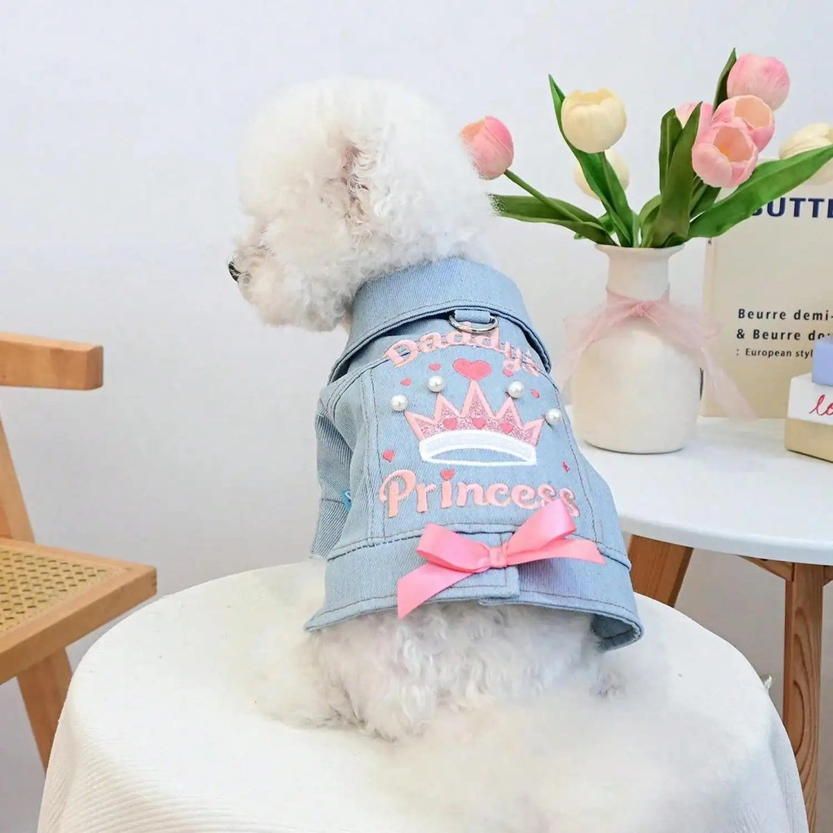 Designer Dog Denim Jacket With Fruit Print For Small Pets