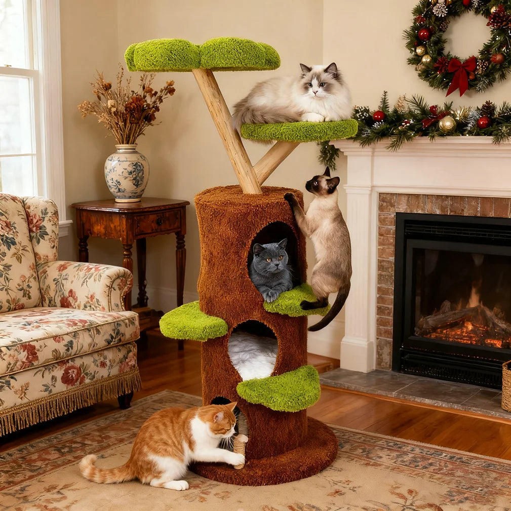 BORWART Luxury Wood Cat Tree Tower With Condo Bed And Scratching Post