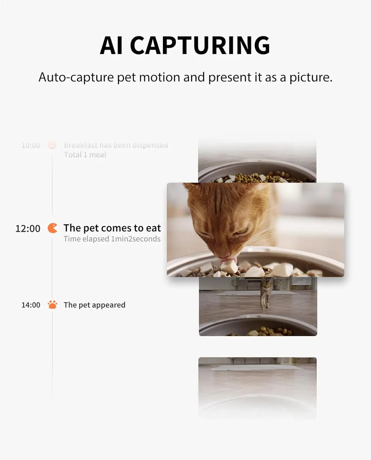 Automatic Cat Feeder With Camera 1080P HD Night Vision