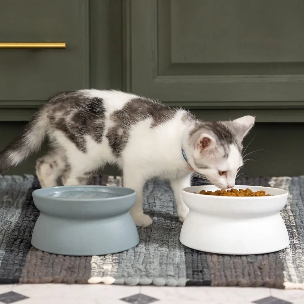 Elevated Cat Bowls For Small Cats Slow Feeder Whisker Relief