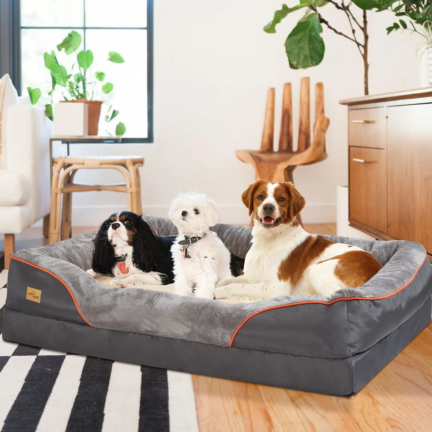 BINGOPAW Orthopedic Dog Bed With Foam Support And Removable Cover