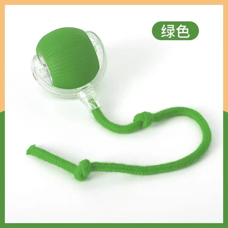 Interactive LED Cat Toy Ball With Adjustable Speed Rope Tail