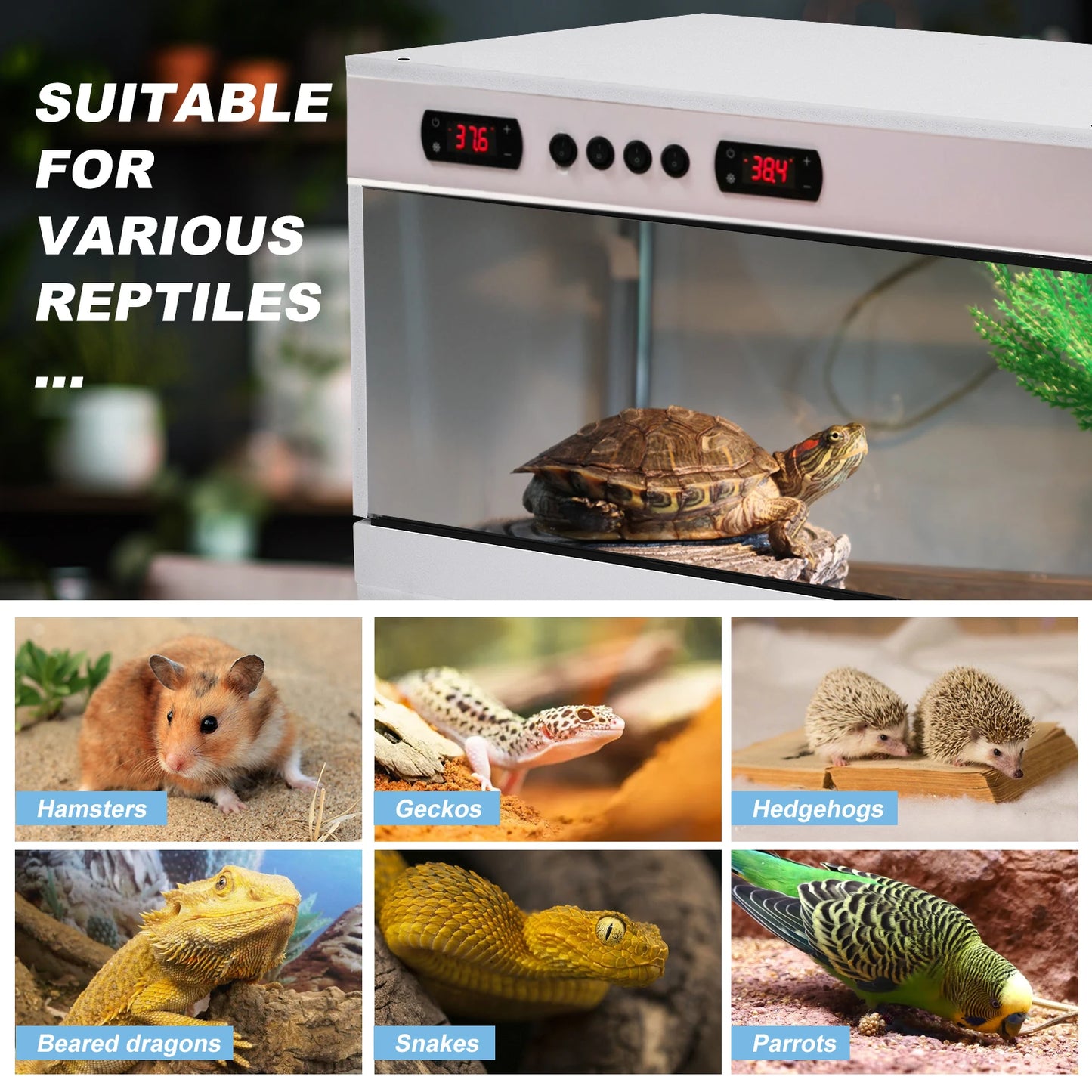 Stackable Reptile Terrarium PVC Bearded Dragon Enclosure For Pets