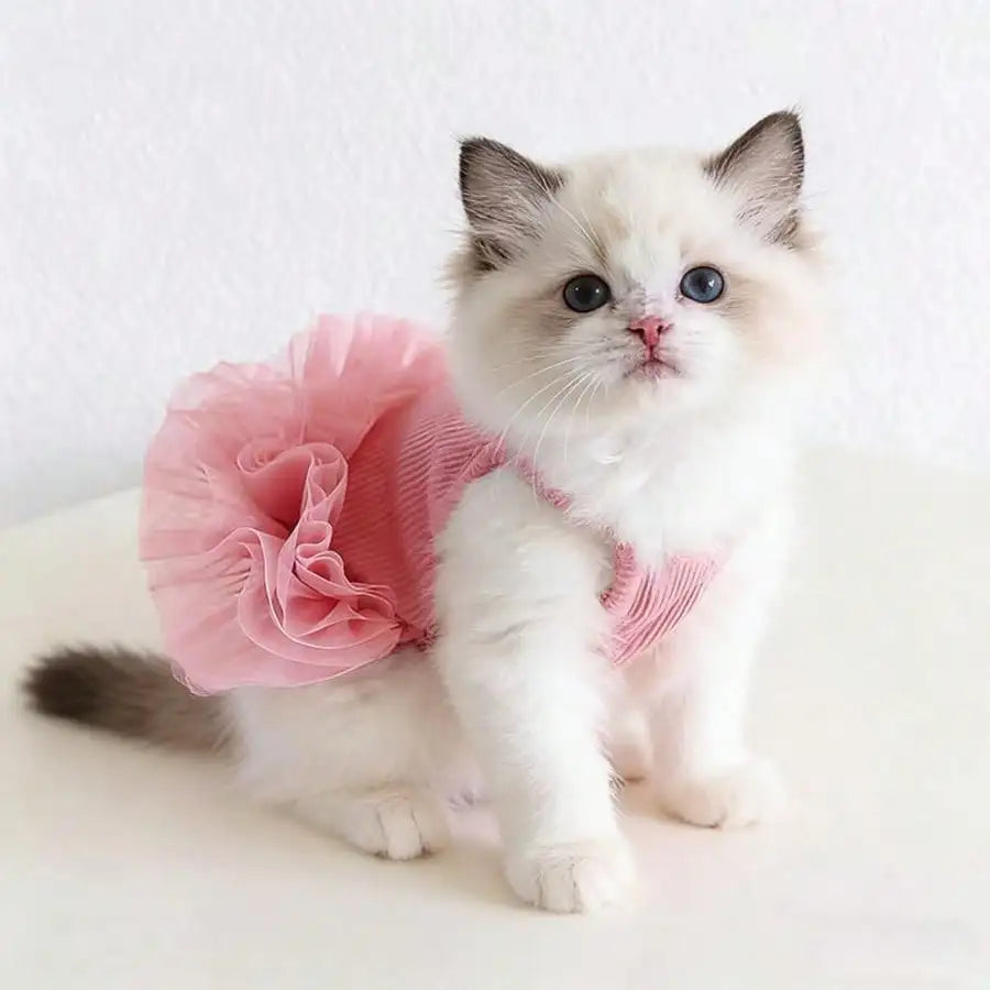 Elegant Pet Dog Tutu Dress For Festive Parties And Special Occasions