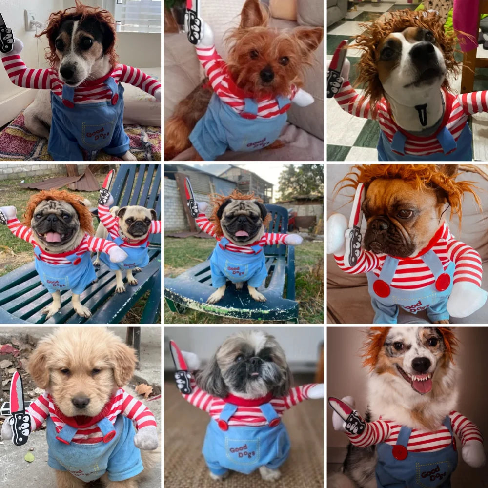 Halloween Dog And Cat Costume Pullover Cosplay Outfit