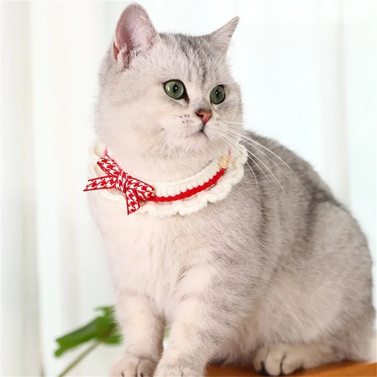 Cute Bow Knot Hand Knitted Pet Collar For Dogs Cats