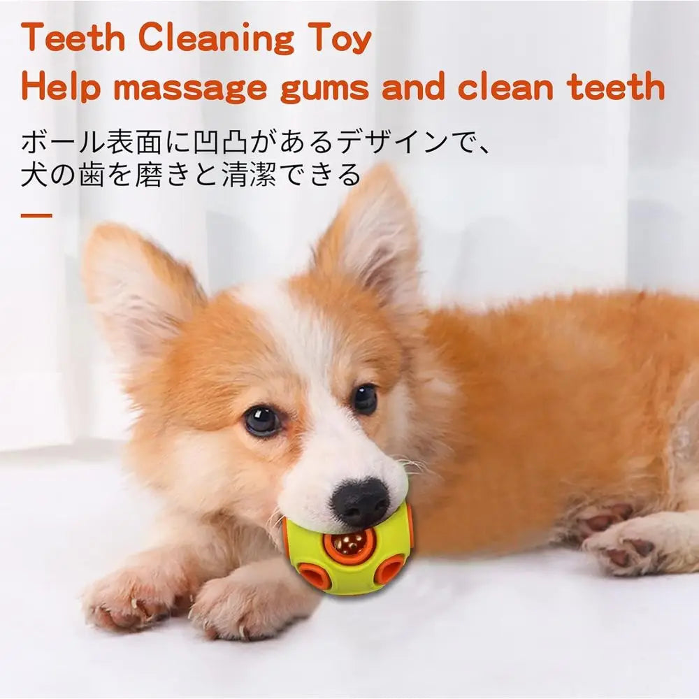 Interactive Squeaking Dog Balls For Small Puppies Durable Toys