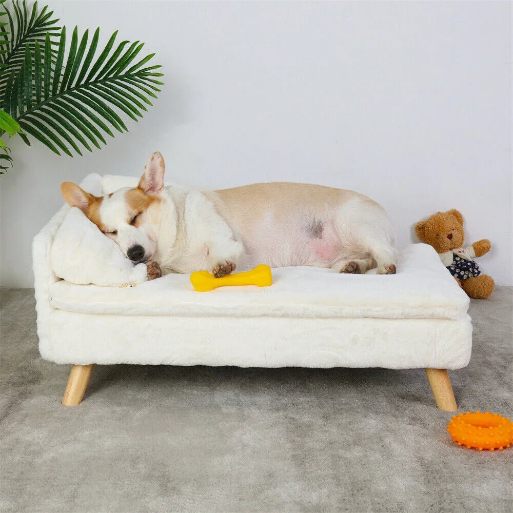 BORWART Luxury Elevated Dog Sofa Bed With Backrest
