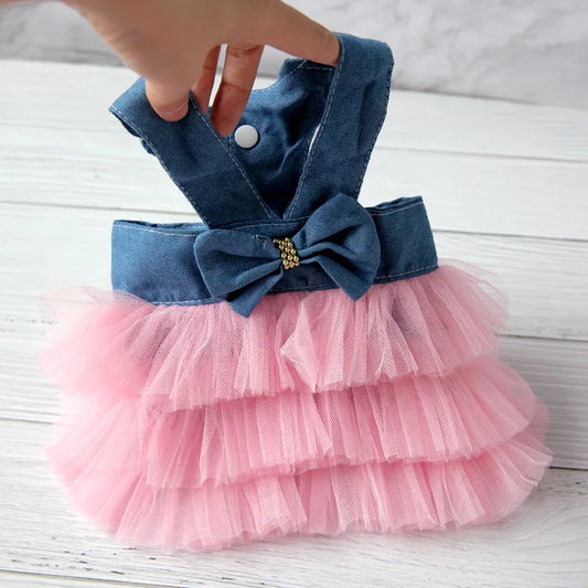 Miss Doggy Summer Lace Dress Striped Pet Clothing For Dogs