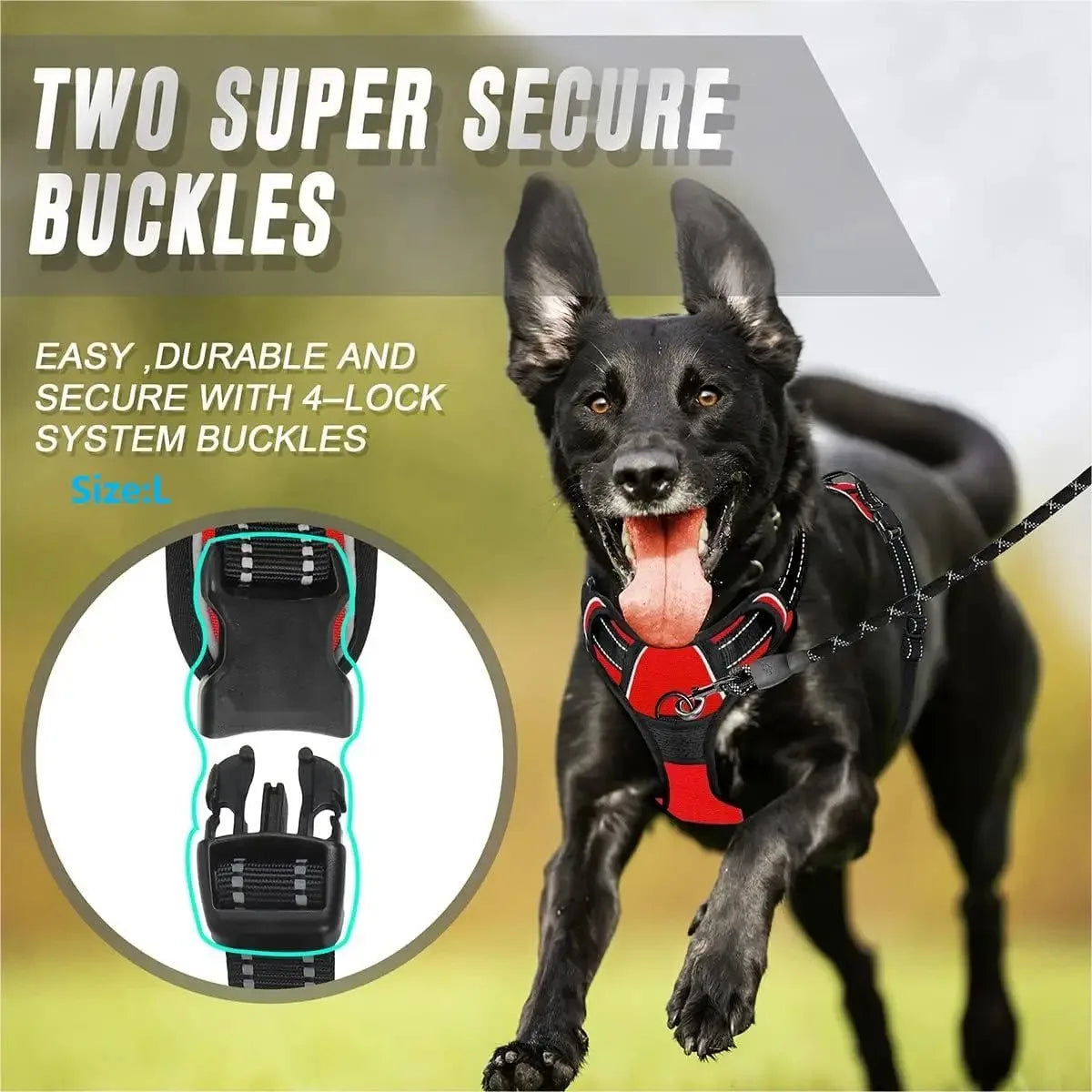 Dog Harness Leash Set For All Breeds Collars Vests Accessories