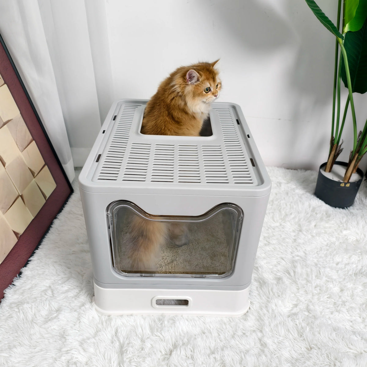 Large Front Entry Top Exit Cat Litter Box With Lid And Scoop