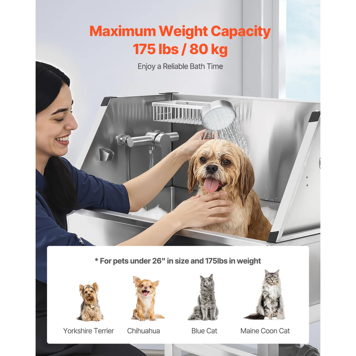 Vevor Stainless Steel Dog Washing Station with Sprayer and Rack