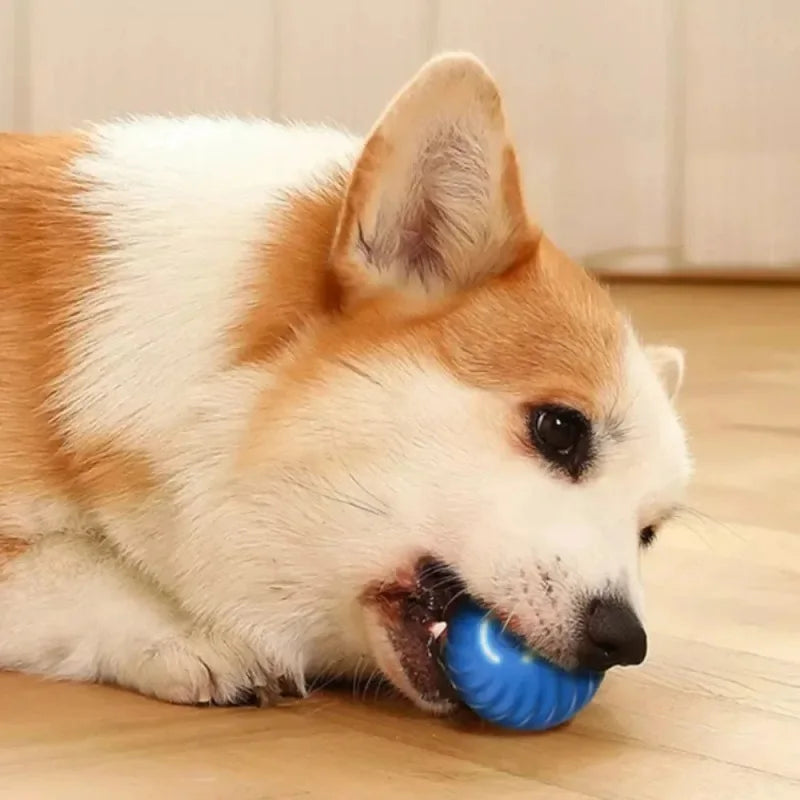 Dog Automatic Moving Ball Interactive Chew Toy Puppies