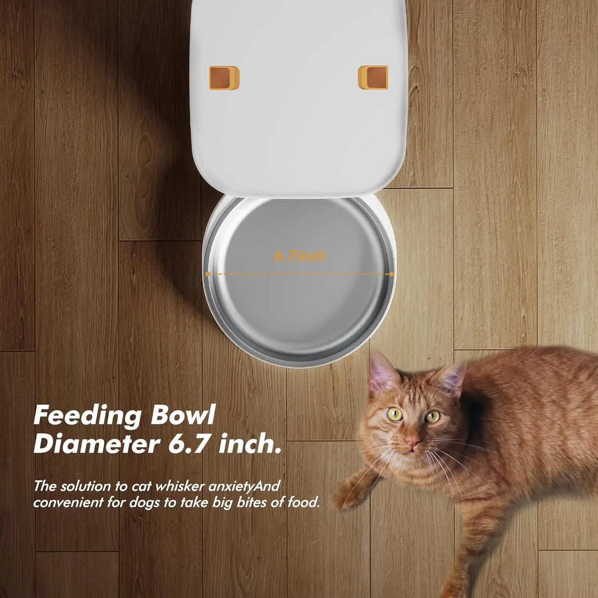 Nityers Automatic Cat Feeder With Timed Dispenser And Voice Recorder