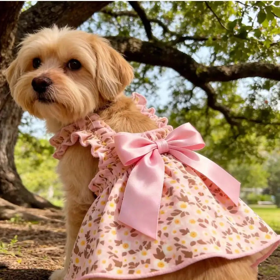 Romantic Ditsy Floral Sleeveless Pet Dress For Small Dogs