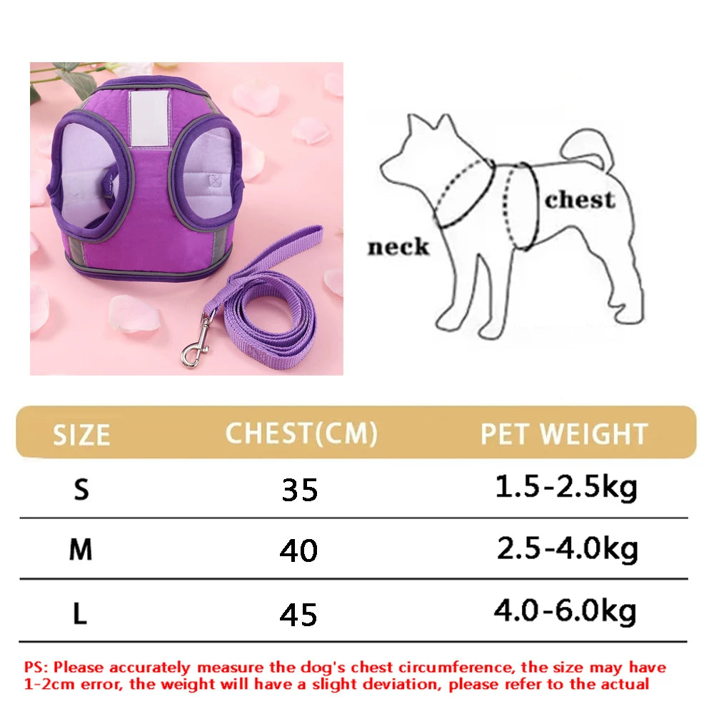 Breathable Cat Harness Set Butterfly Design With Leash