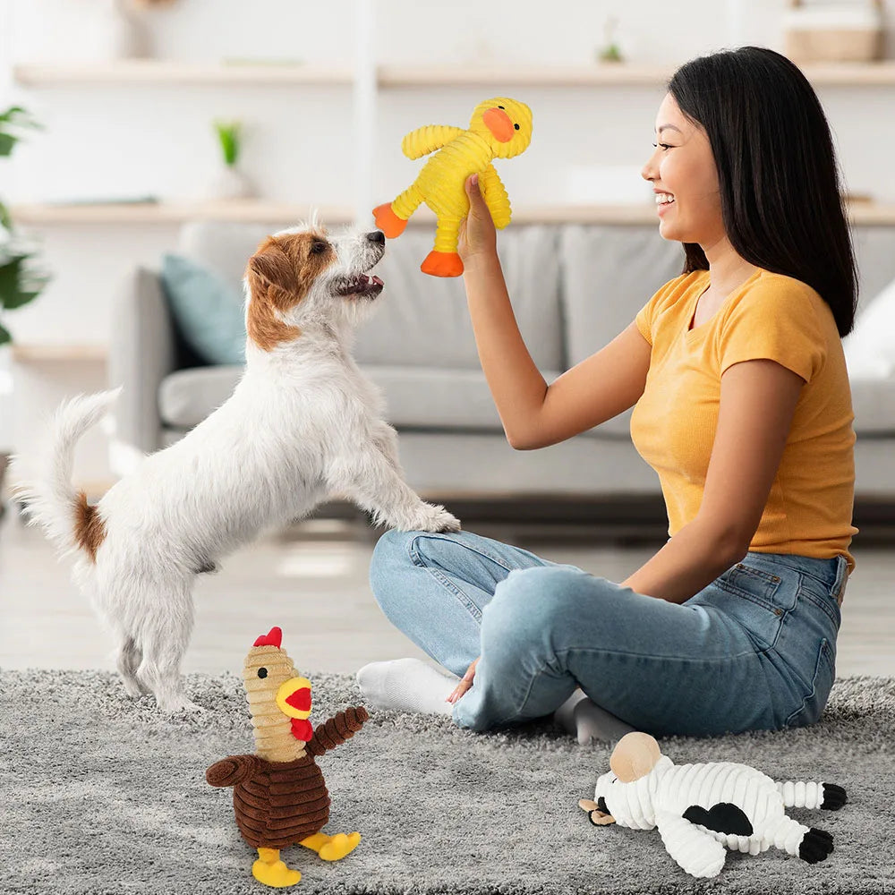 5 Pack Plush Dog Toys Squeaky Chew Bundle For Dogs