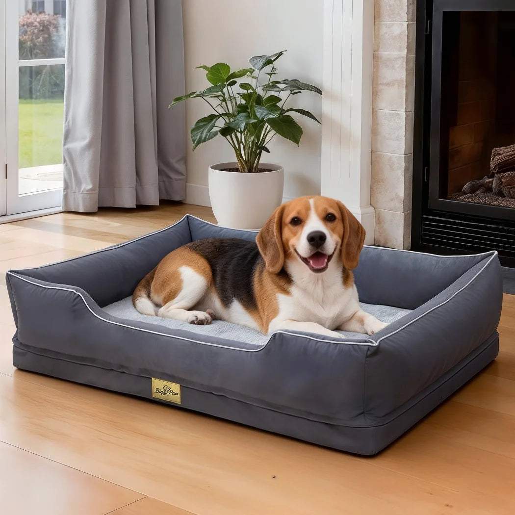 BORWART CN Orthopedic Dog Bed With Bolster Support