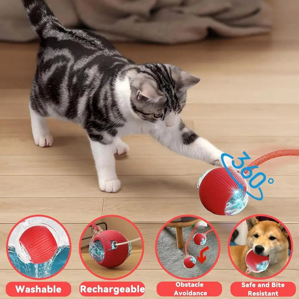 Automatic Interactive Cat Toy With Elastic Mesh Tail And Ball