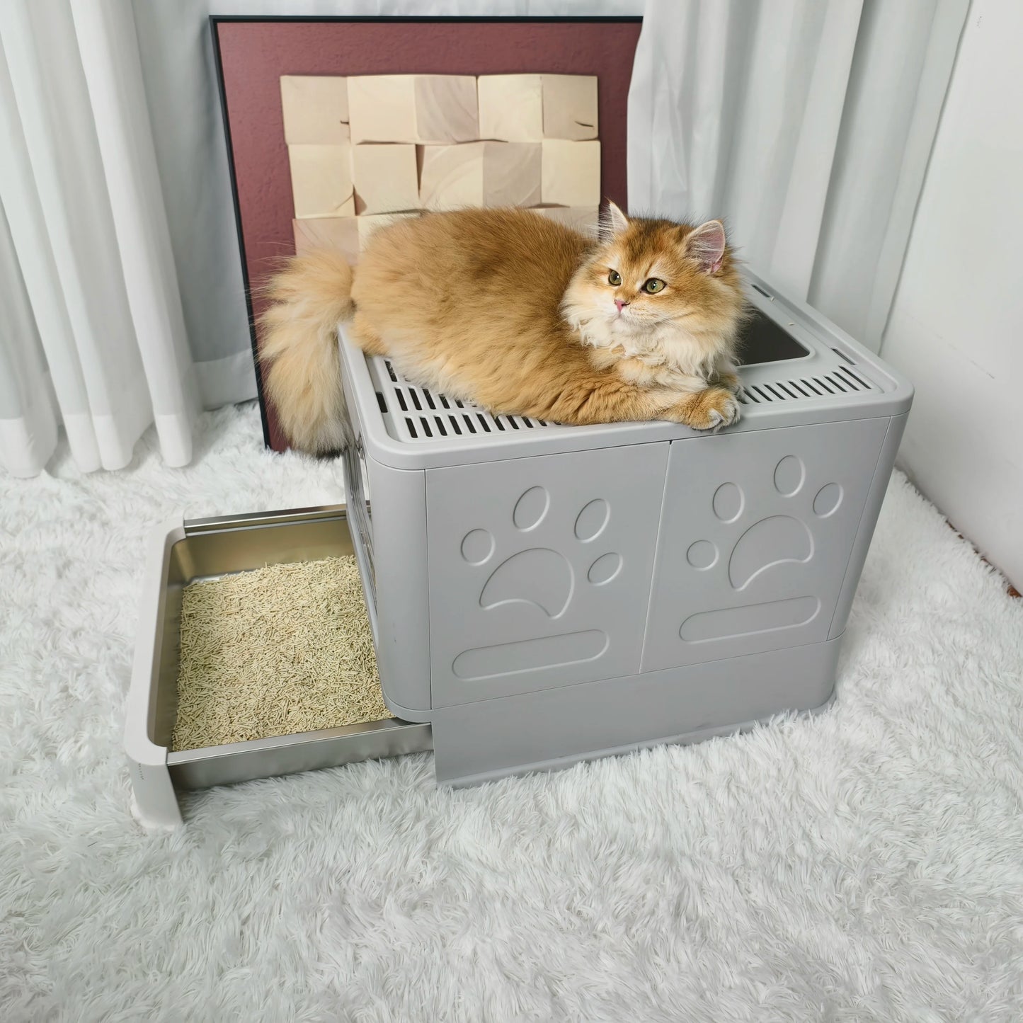 Cat Litter Box Front Entry Top Exit Lid Easy Cleaning