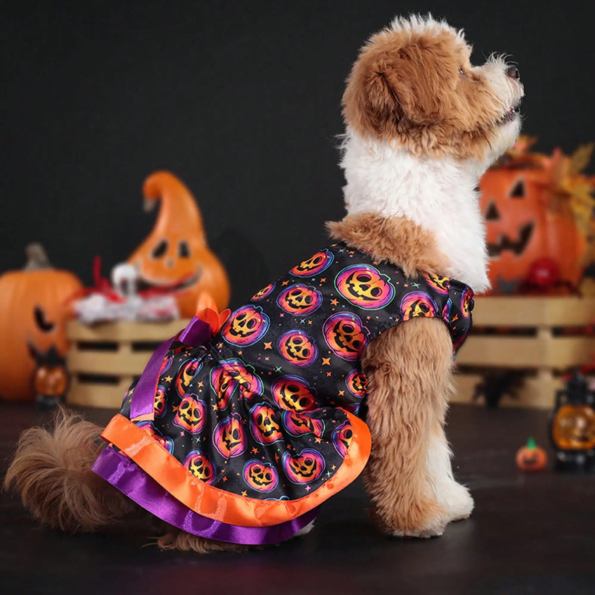 Pet Dog Halloween Costume Soft Pumpkin Skull Print Bowknot Dress