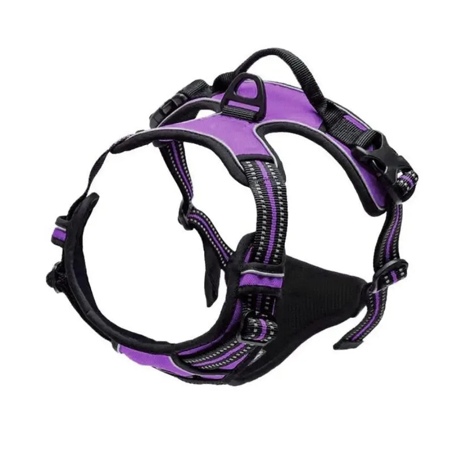 Dog Harness Leash Set For All Breeds Collars Vests Accessories