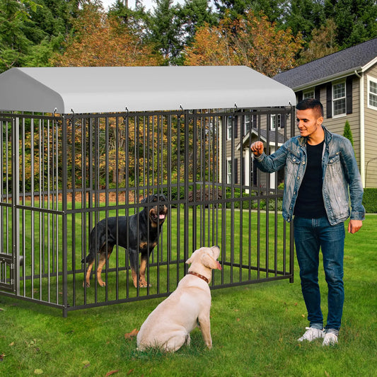 Heavy-Duty Metal Dog Kennel Outdoor Roof Double Lock Walk-In Durable