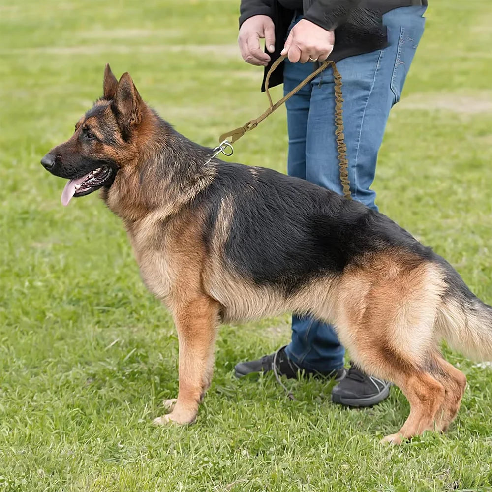 Military Style Tactical Dog Leash With Adjustable Elastic Rope